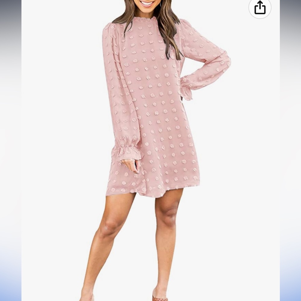 Women's Dress Long Sleeve Swiss Dot Mini Dresses Round Neck Loose Chiffon Short